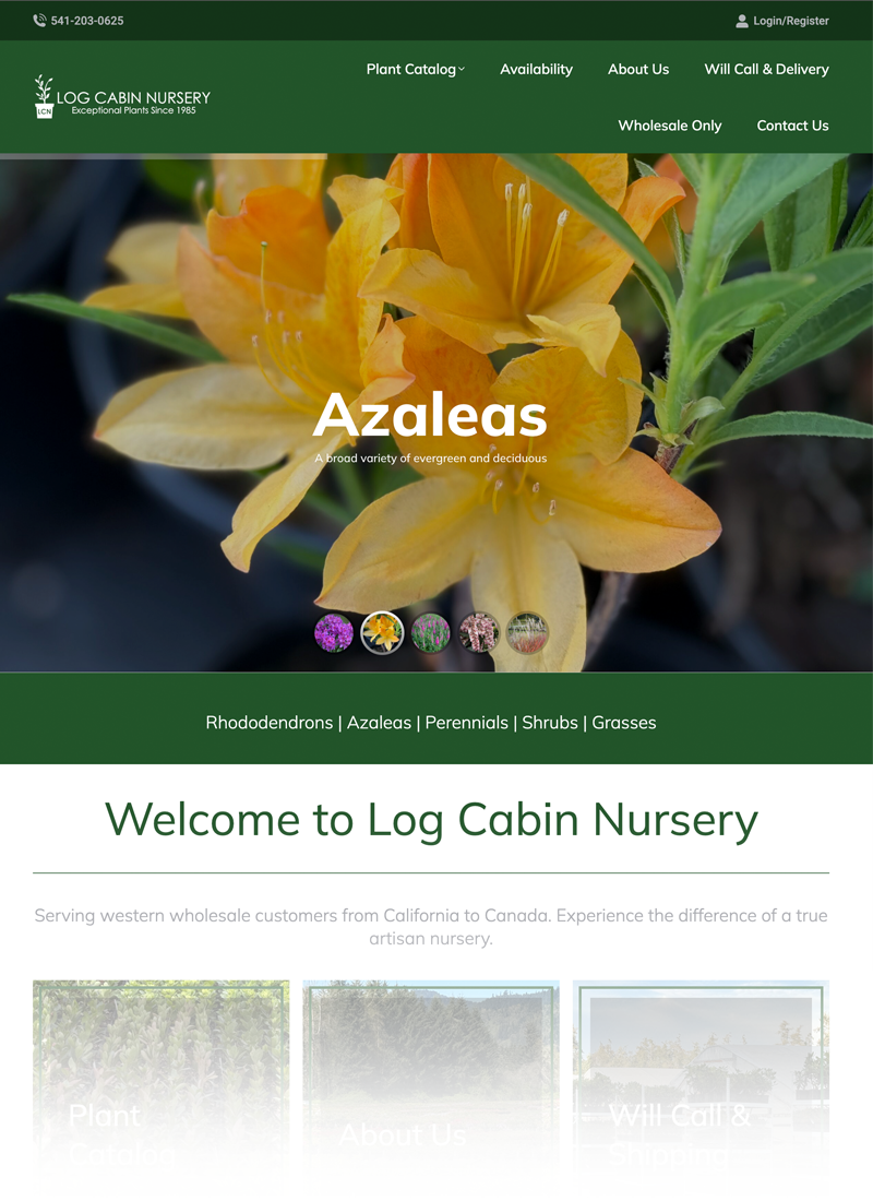 Log Cabin Nursery